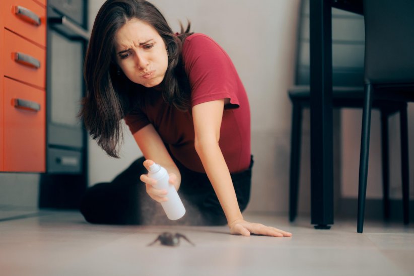 Faire le ménage au vinaigre blanc Faire le ménage au vinaigre blanc