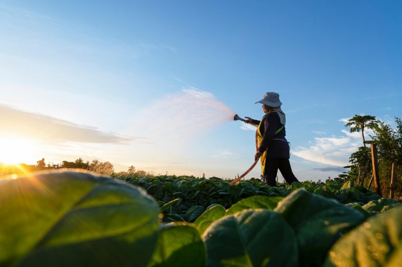 22 milliards de tonnes d'eau 22 milliards de tonnes d'eau