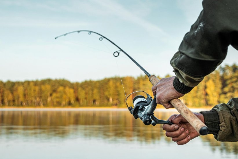 Respecter les saisons de pêche Respecter les saisons de pêche