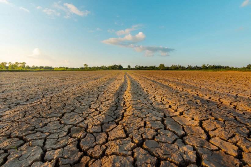 Une désertification des terres qui tend à s'accentuer Une désertification des terres qui tend à s'accentuer
