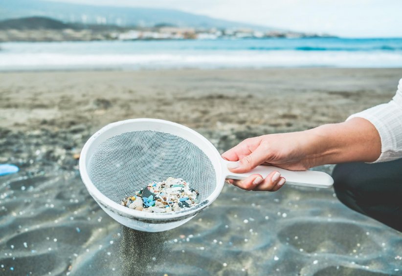 Les microplastiques se retrouvent dans nos assiettes Les microplastiques se retrouvent dans nos assiettes