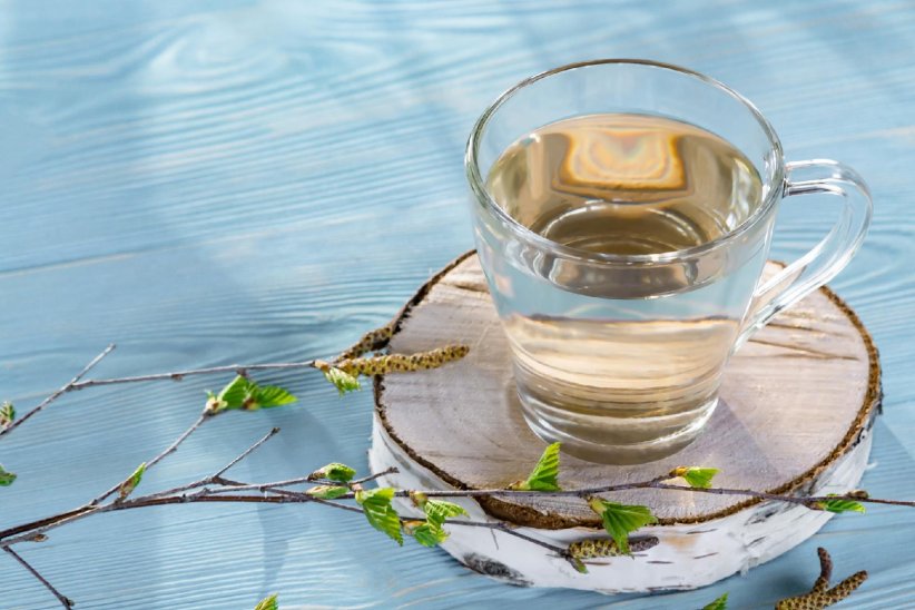Effectuer une cure de sève de bouleau Effectuer une cure de sève de bouleau