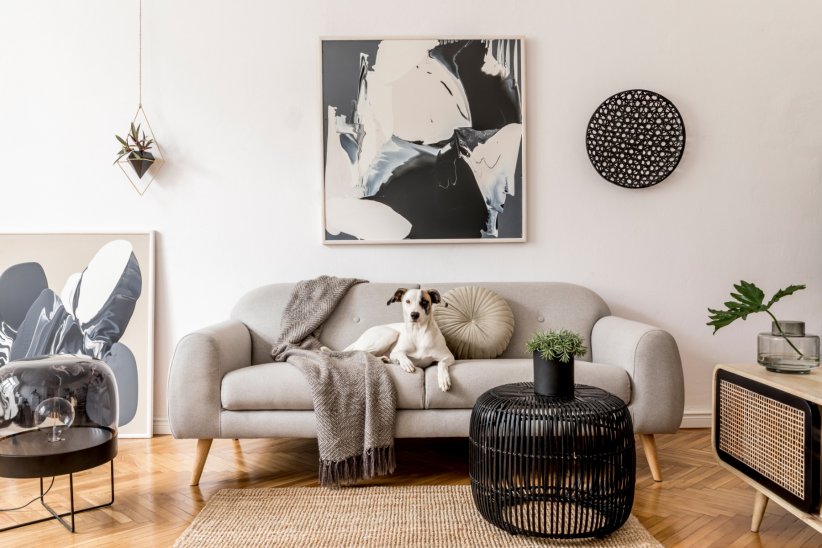 Acheter une toile dans une galerie Acheter une toile dans une galerie