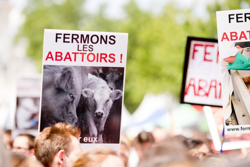 Participer à des manifestations pacifiques Participer à des manifestations pacifiques