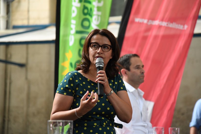 Cécile Duflot dépose plainte pour harcèlement sur Twitter Cécile Duflot dépose plainte pour harcèlement sur Twitter