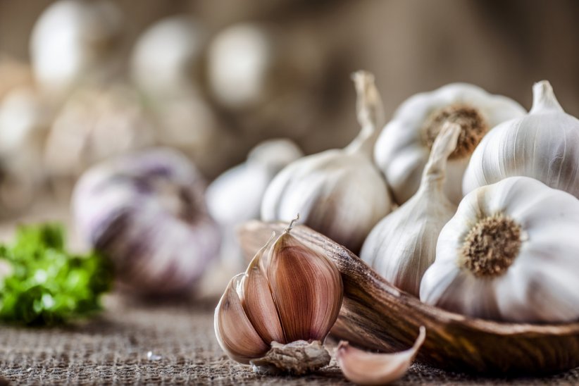 L'alimentation L'alimentation