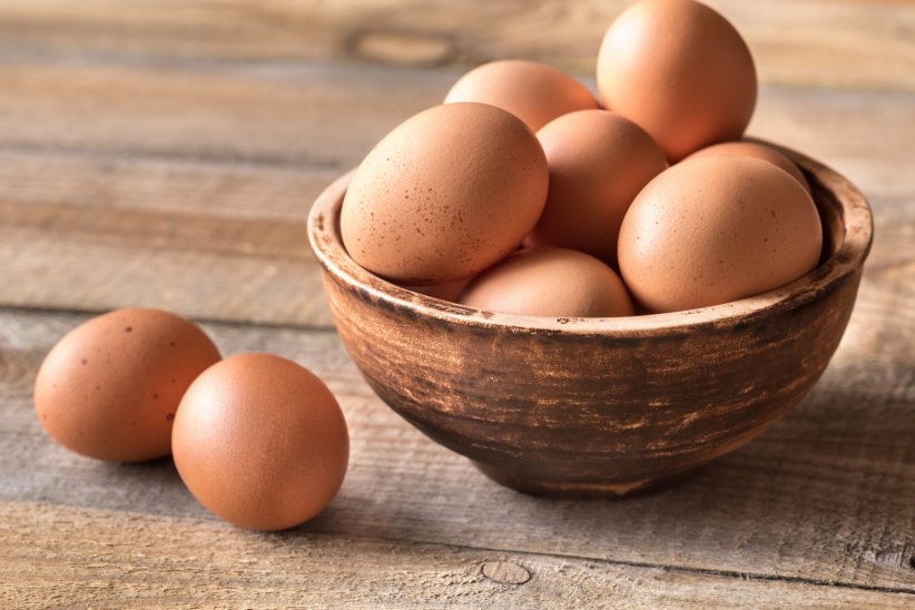 Des muscles mieux oxygénés grâce aux oeufs Des muscles mieux oxygénés grâce aux oeufs