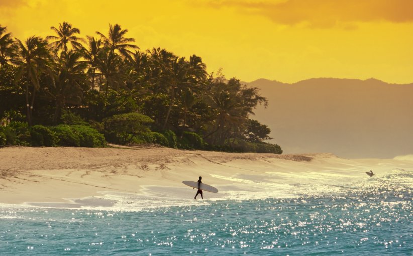 Hawaï : le paradis des surfers Hawaï : le paradis des surfers