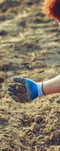 Mission potager écolo en 10 conseils