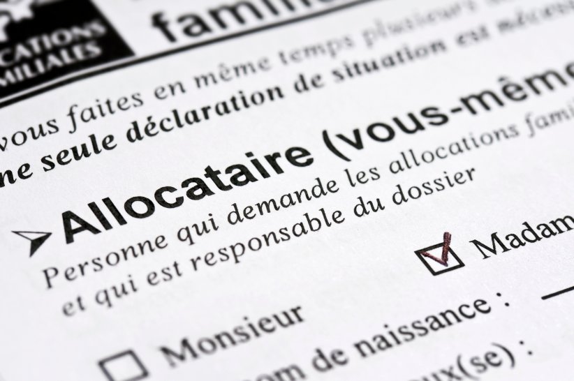L'ASS : une allocation solidaire pour les chercheurs d'emploi L'ASS : une allocation solidaire pour les chercheurs d'emploi