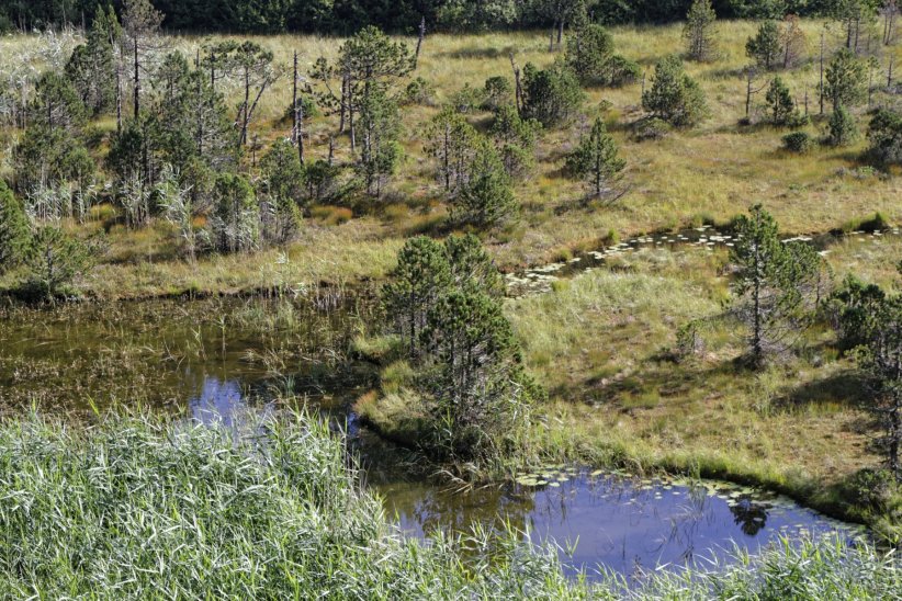 La réserve naturelle du lac Luitel La réserve naturelle du lac Luitel