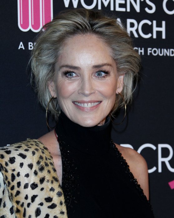 Sharon Stone : une mère porteuse pour un bébé en solo Sharon Stone : une mère porteuse pour un bébé en solo