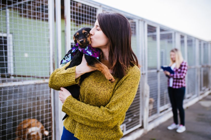 Vous offrirez une vie meilleure à un animal Vous offrirez une vie meilleure à un animal