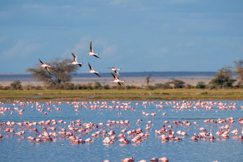 La réserve naturelle de Camargue La réserve naturelle de Camargue