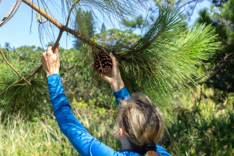 Profiter de ce qu'offre la nature Profiter de ce qu'offre la nature