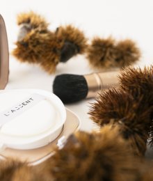 Une marque française introduit les châtaignes des Cévennes en cosmétiques