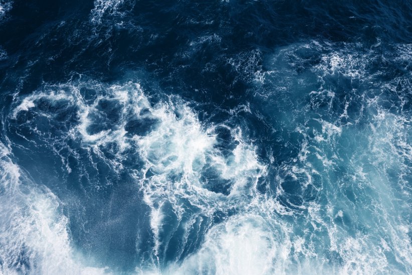 Les océans sont les poumons de la Terre Les océans sont les poumons de la Terre