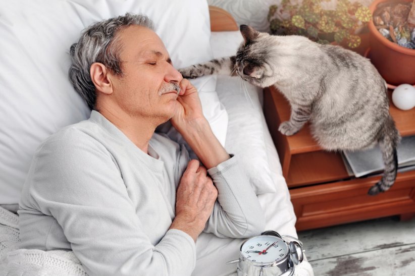 Dormez loin de vos animaux de compagnie Dormez loin de vos animaux de compagnie
