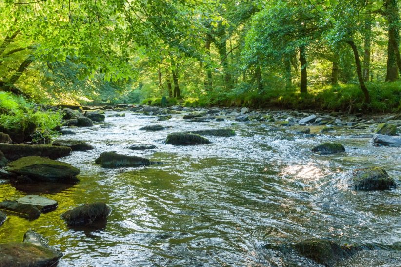 Elles sont des réservoirs d'eau douce Elles sont des réservoirs d'eau douce