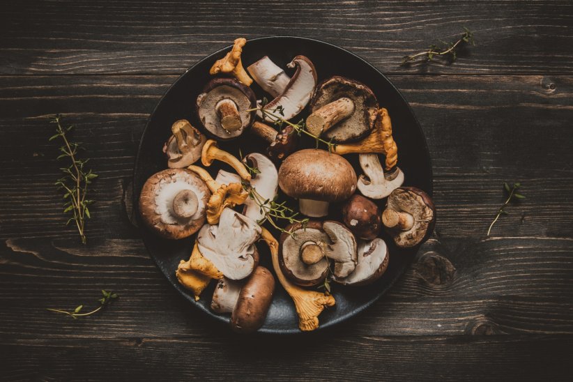 Les cèpes, un type de champignon qui renforce la souplesse de la peau Les cèpes, un type de champignon qui renforce la souplesse de la peau