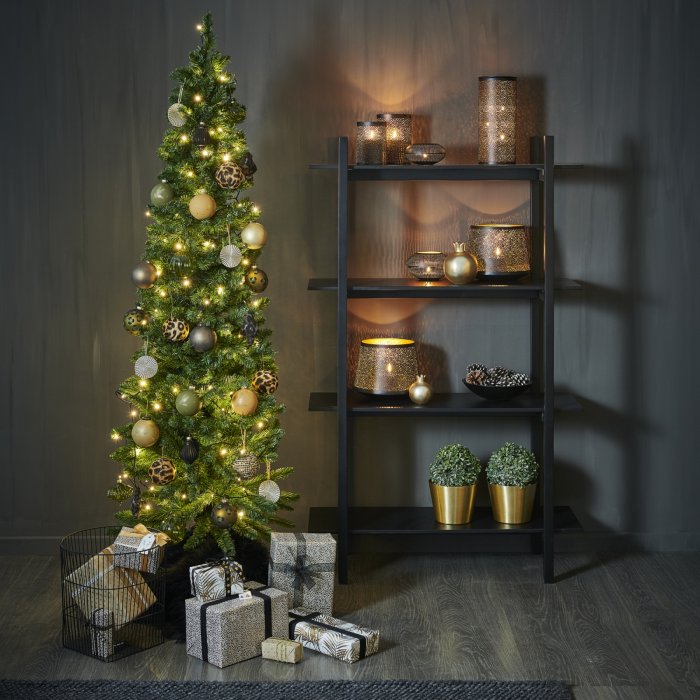 Un sapin élancé Un sapin élancé