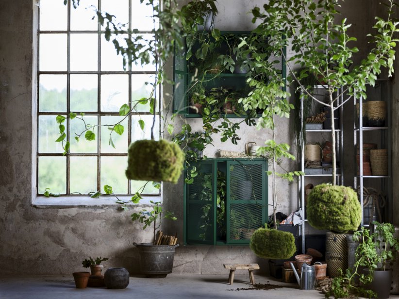 Vivre parmi les plantes Vivre parmi les plantes