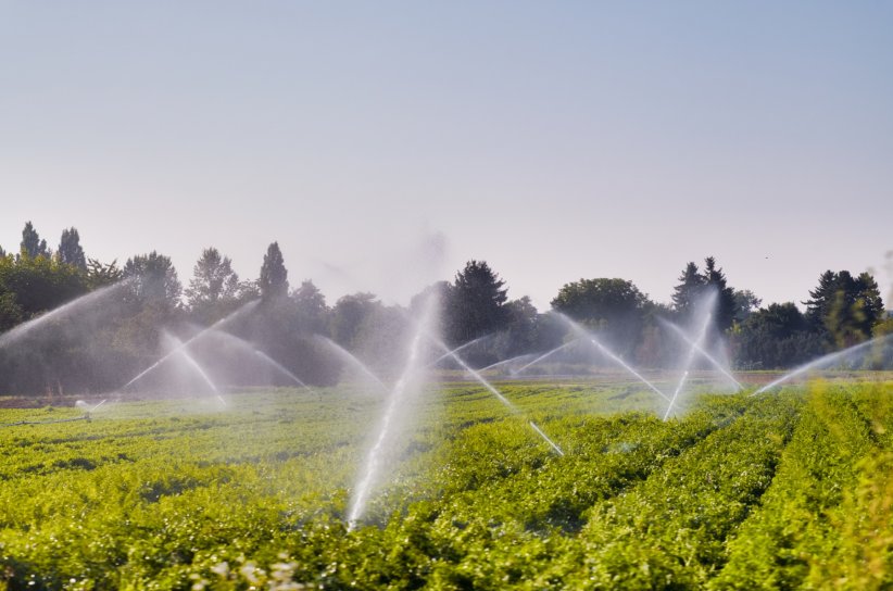 Cela réduit la consommation mondiale d'eau Cela réduit la consommation mondiale d'eau