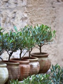10 conseils pour entretenir son jardin aux beaux jours