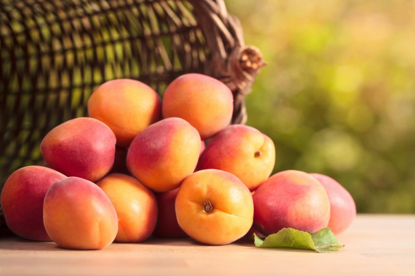 L'abricot, un fruit qui détoxifie l'organisme L'abricot, un fruit qui détoxifie l'organisme
