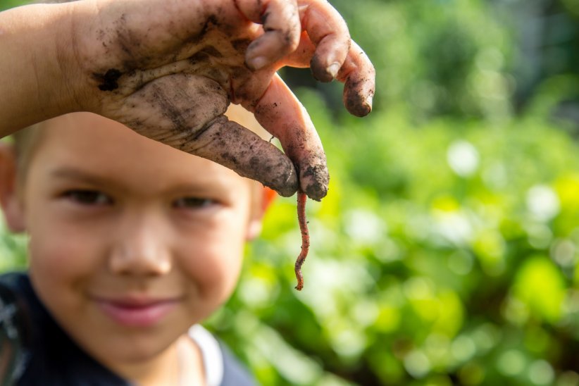 Cela réconcilie avec les insectes de son jardin Cela réconcilie avec les insectes de son jardin