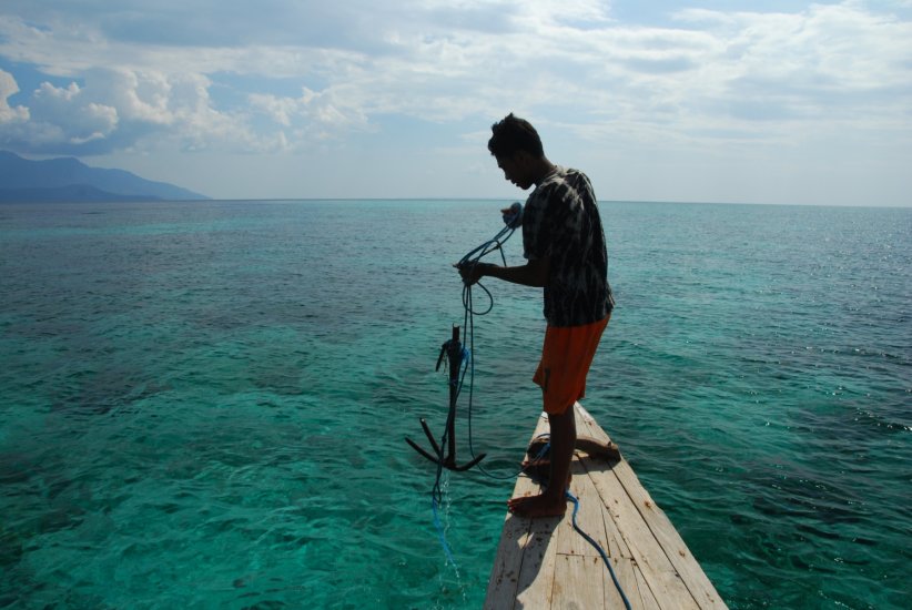 La pêche et la pisciculture locales touchées La pêche et la pisciculture locales touchées