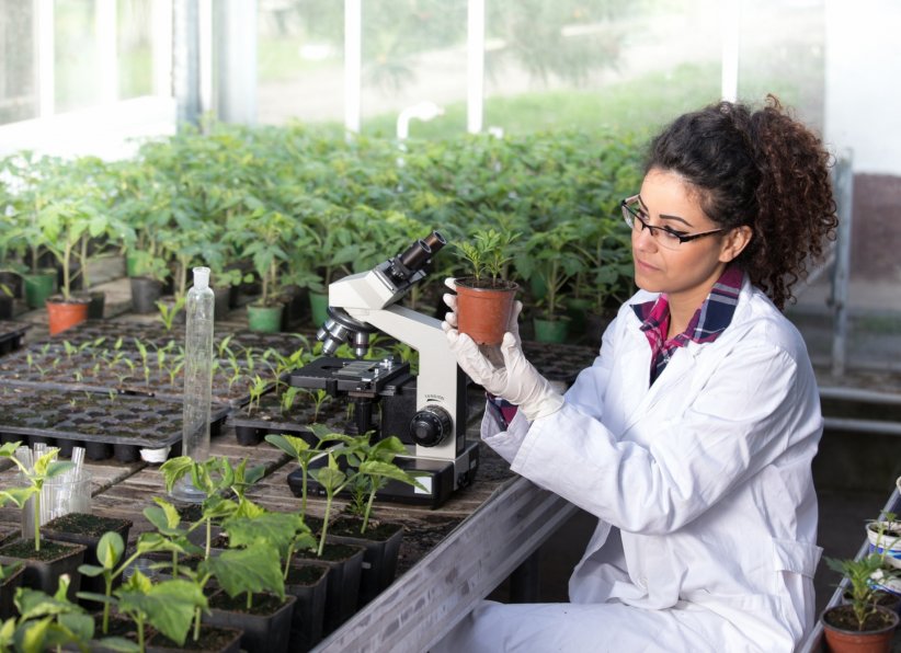 Les objectifs à l'origine des OGM Les objectifs à l'origine des OGM