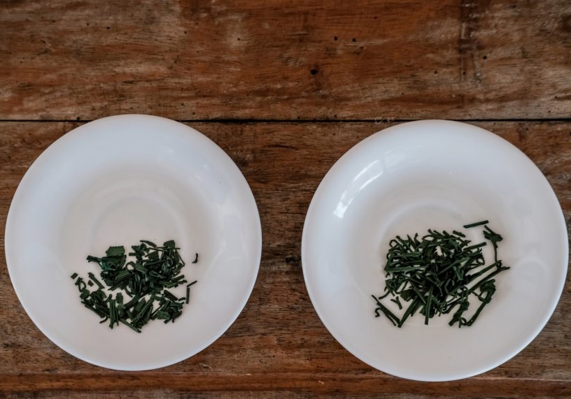 La spiruline La spiruline