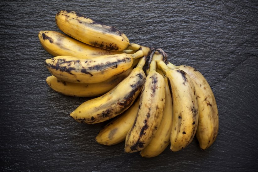 Les bananes bien mûres Les bananes bien mûres