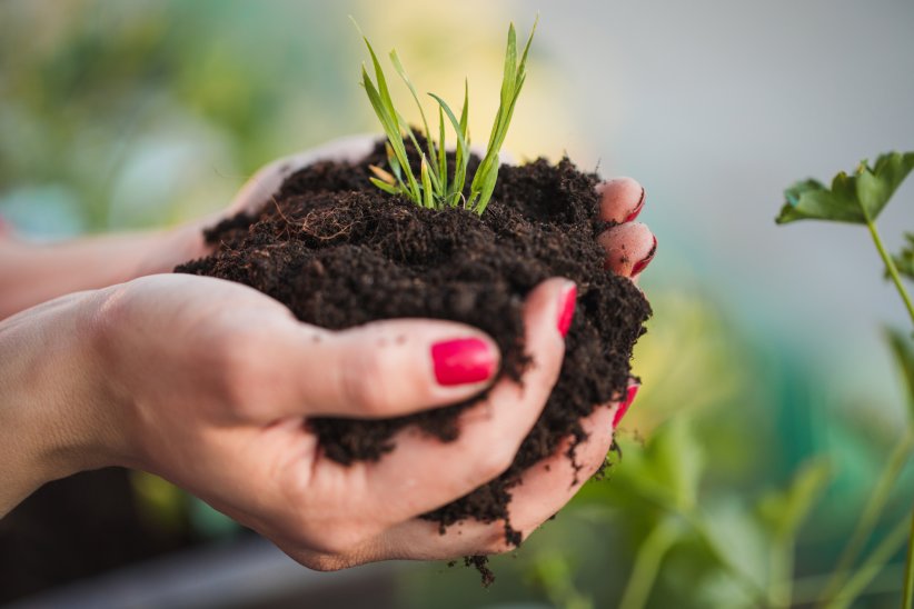 Planter au bon moment Planter au bon moment