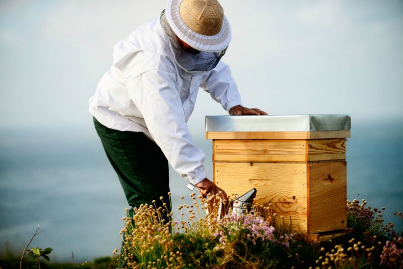 Installer une ruche dans son jardin Installer une ruche dans son jardin