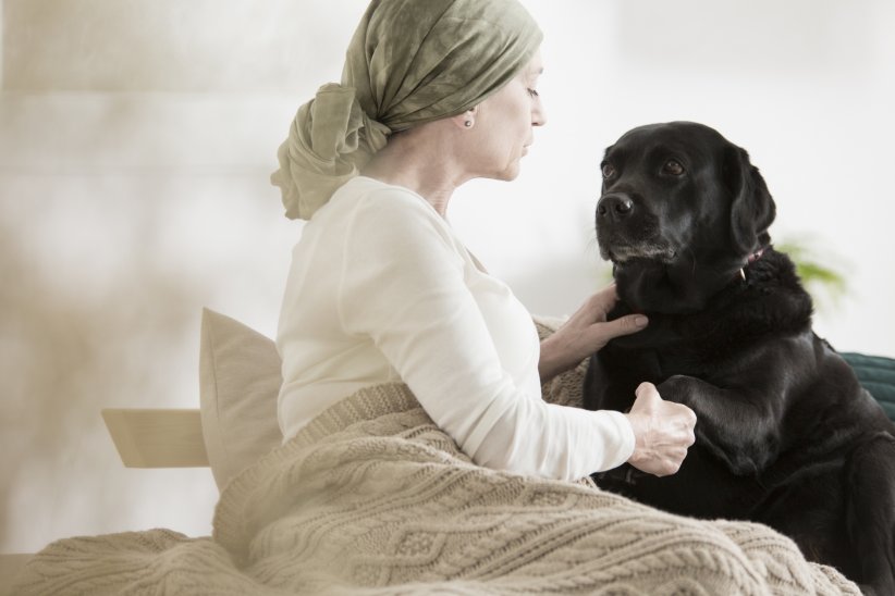 Ils peuvent dépister un cancer Ils peuvent dépister un cancer