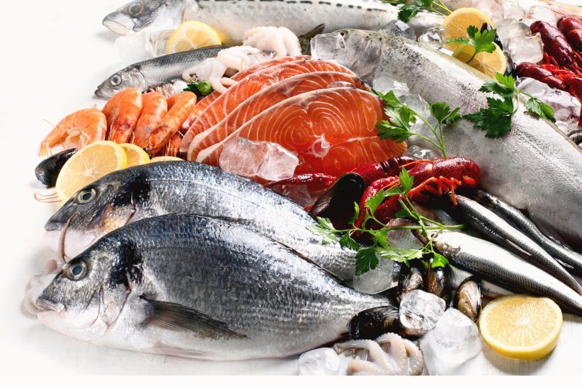 Choisir son poisson avec vigilance Choisir son poisson avec vigilance