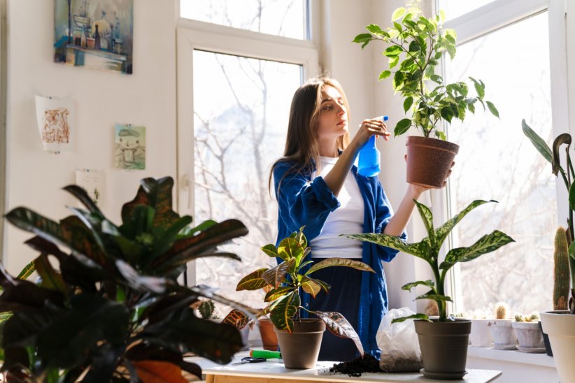 Arroser ses plantes avec des pesticides Arroser ses plantes avec des pesticides