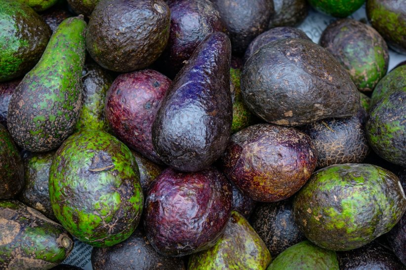 Consommation dérangeante, alors que l'Asie n'y est pas encore tant convertie Consommation dérangeante, alors que l'Asie n'y est pas encore tant convertie