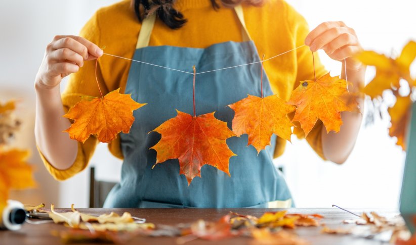 Les traditionnelles feuilles mortes Les traditionnelles feuilles mortes