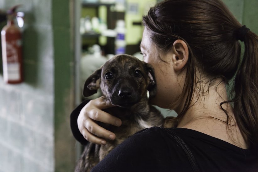 Votre animal aura peut-être peur Votre animal aura peut-être peur