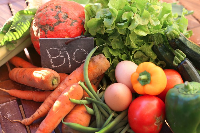 Manger en pensant à l'environnement avec Eat4Good Manger en pensant à l'environnement avec Eat4Good