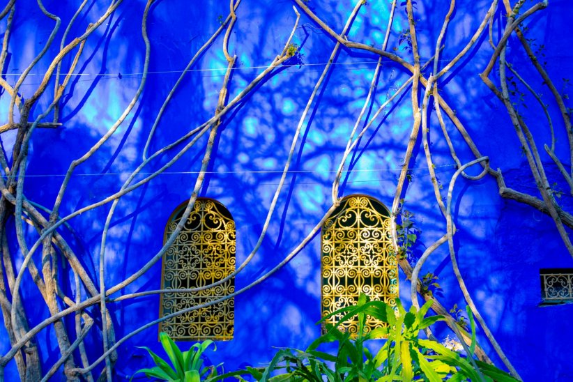 Yves Saint Laurent : son rêve bleu avec le jardin de Majorelle Yves Saint Laurent : son rêve bleu avec le jardin de Majorelle