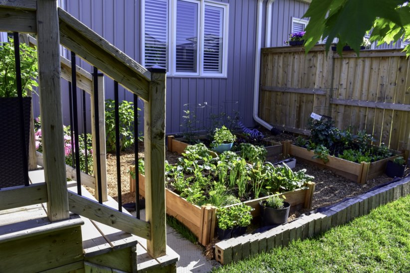 Faire un potager Faire un potager