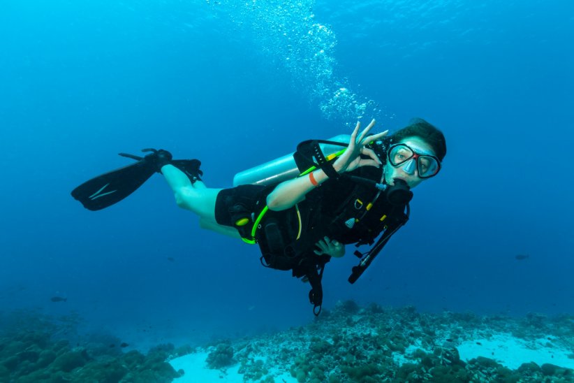 La plongée sous-marine, découvrir les fonds marins La plongée sous-marine, découvrir les fonds marins
