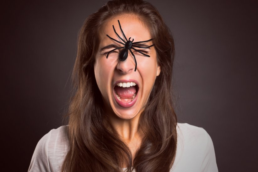 L'arachnophie, ou la peur des arachnides L'arachnophie, ou la peur des arachnides