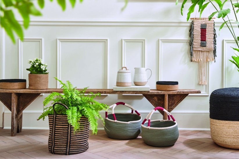 Les plantes purificatrices d'air Les plantes purificatrices d'air