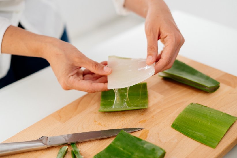 Se faire des masques à l'aloe vera Se faire des masques à l'aloe vera