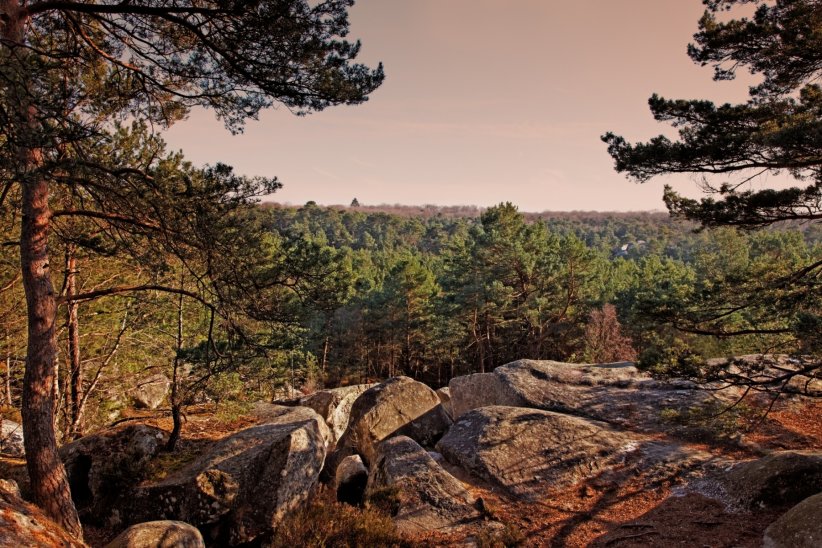 Week-end entre histoire et nature à Fontainebleau Week-end entre histoire et nature à Fontainebleau